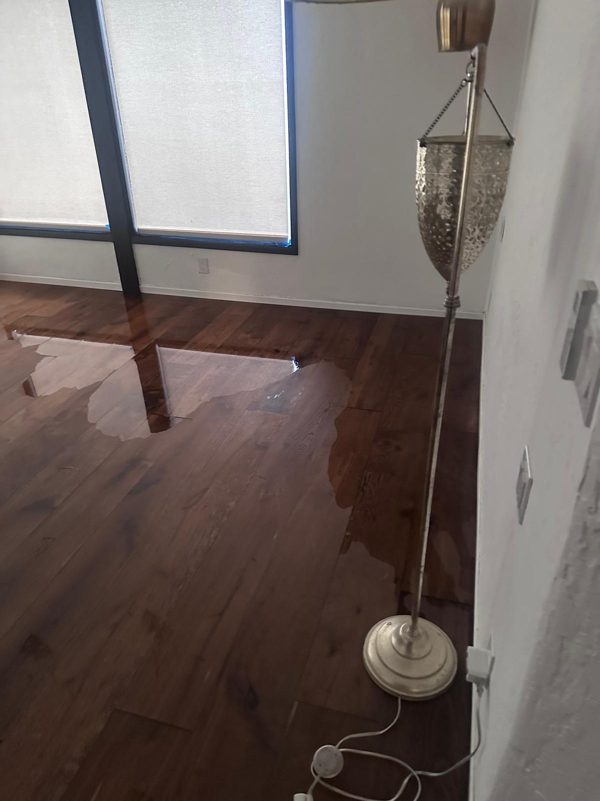 Water Damage Restoration Beverly Hills